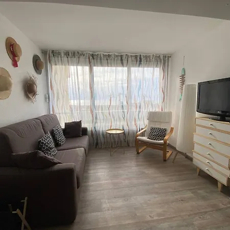 Apartament T2 4 Pers A Le Barcares, Face Mer, Parking Prive - Fr-1-81-640 Le Barcarès