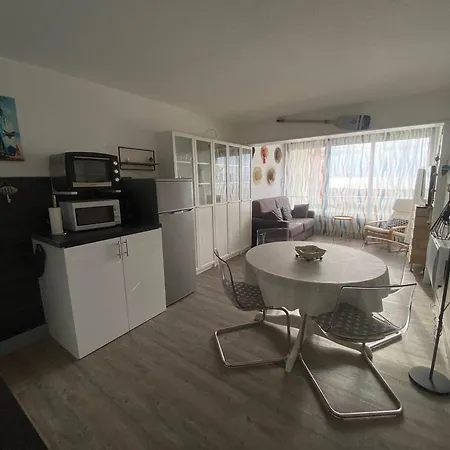Apartament T2 4 Pers A Le Barcares, Face Mer, Parking Prive - Fr-1-81-640